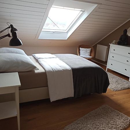 Apartamento By Vollmer'S Komfortabel Und Chic Offenburg Exterior foto