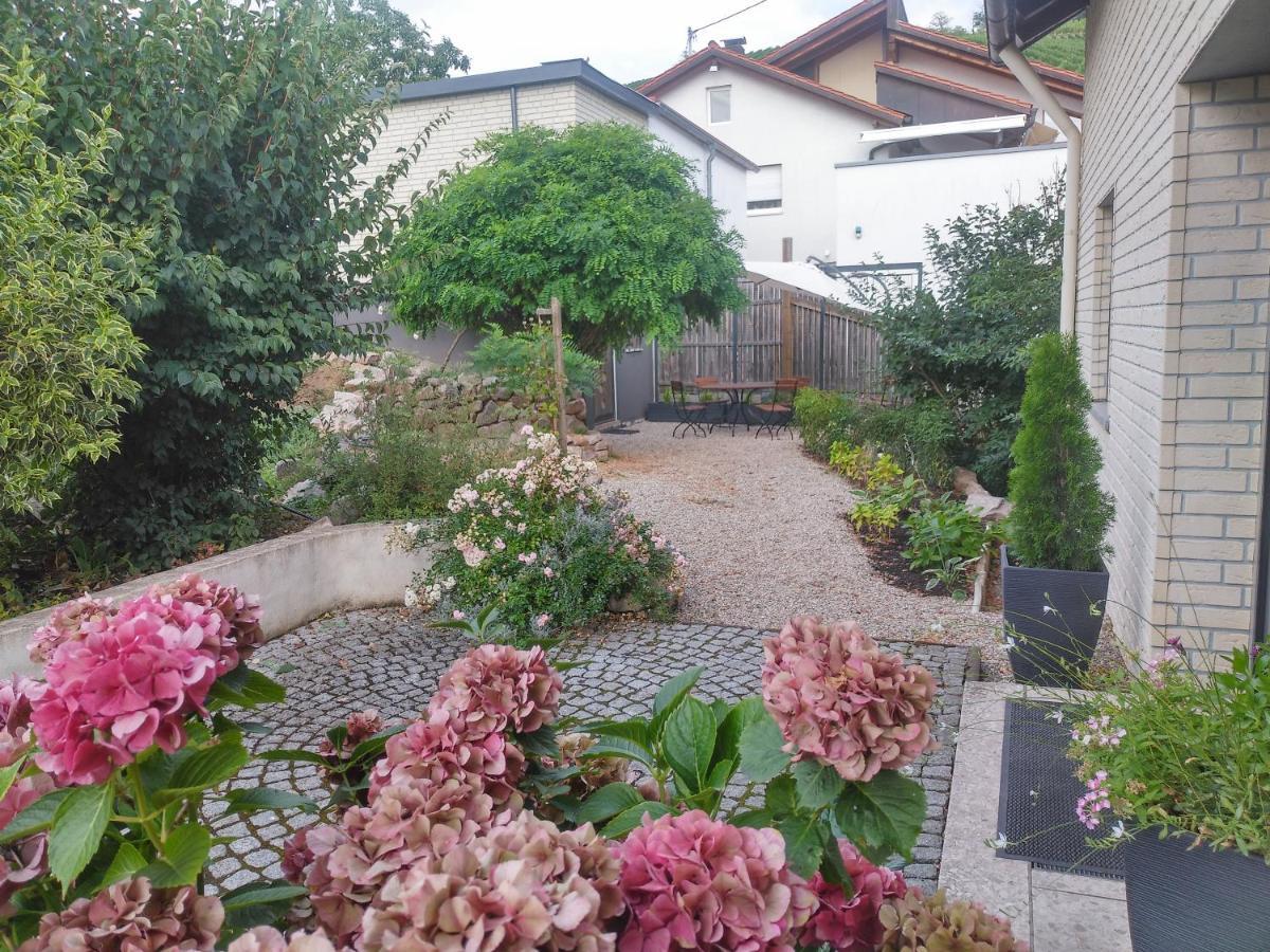 Apartamento By Vollmer'S Komfortabel Und Chic Offenburg Exterior foto